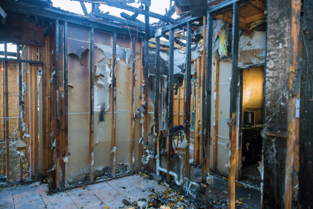 Professional Fire Damage Removal technician working in Lake Catherine, IL